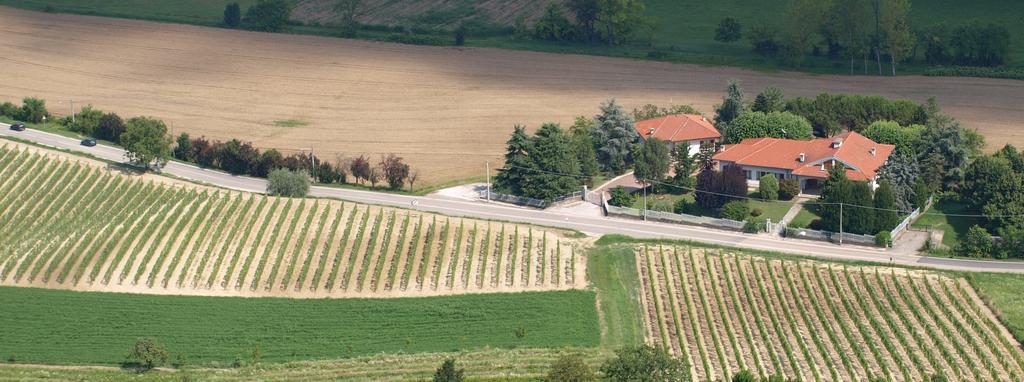 Montiglio B&B Vigneto Pardom מראה חיצוני תמונה